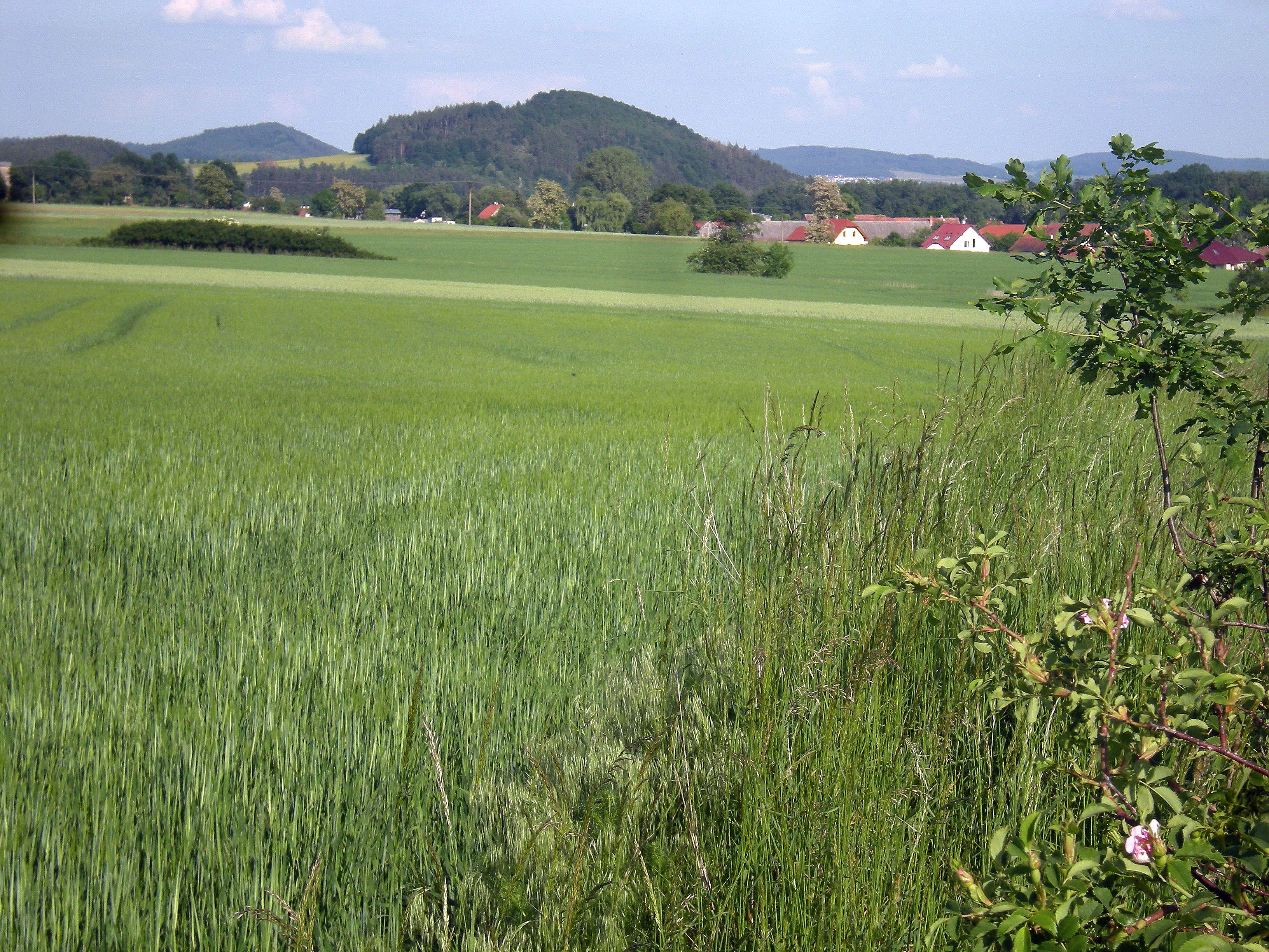 krajina s Katovickou horou