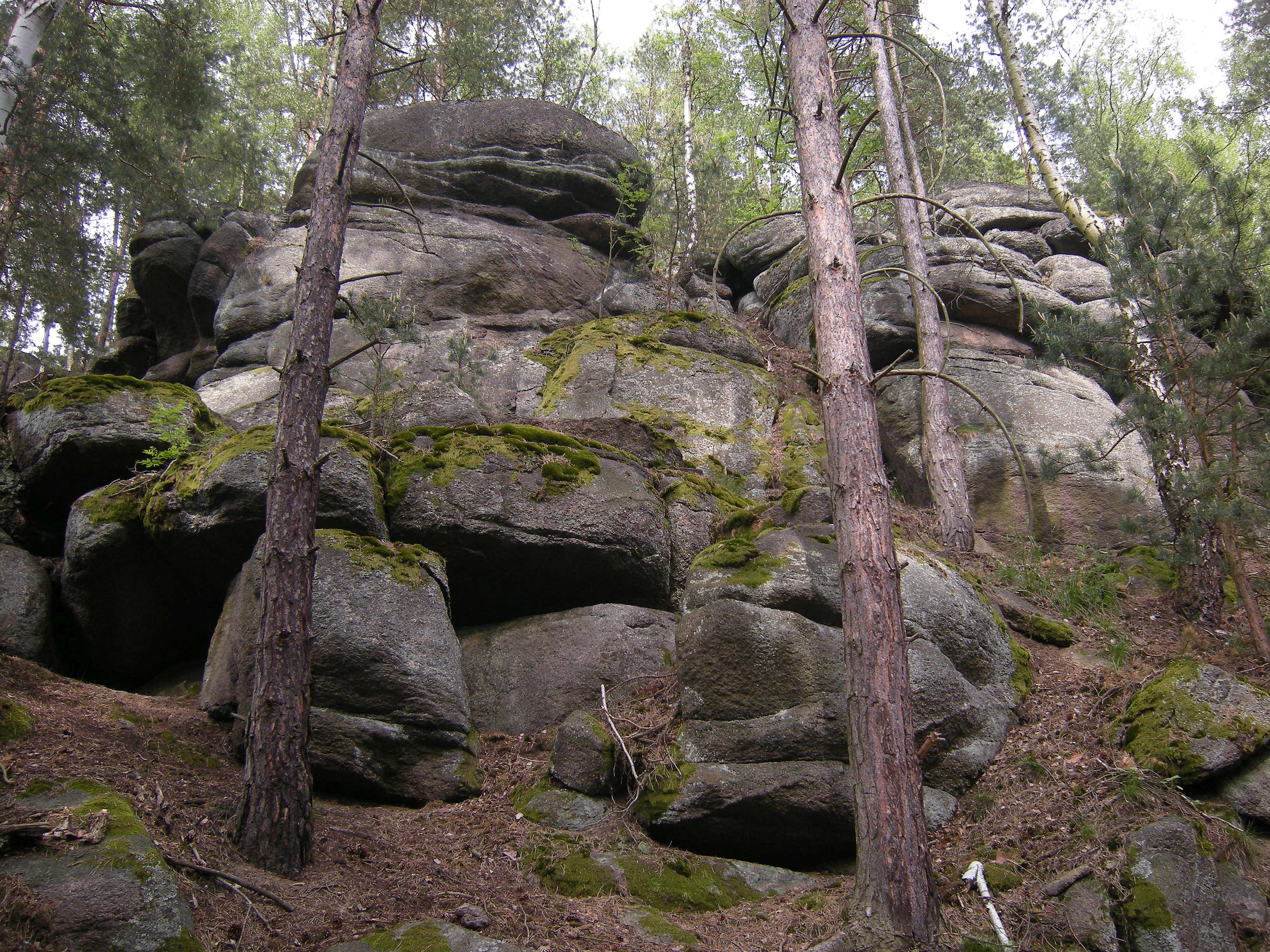 skaly pod Bedlnem
