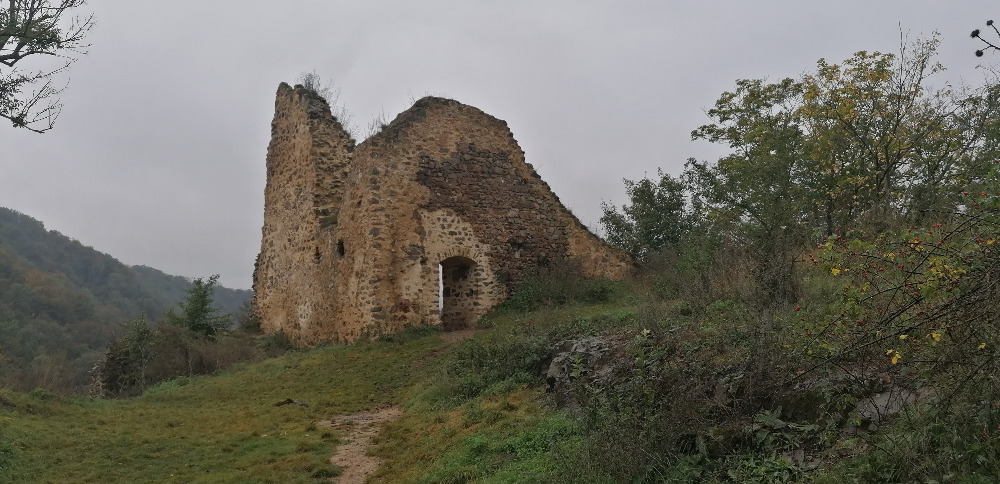 Zřícenina Týřov nad Berounkou